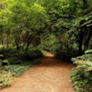 Meet your Posher, Aidan